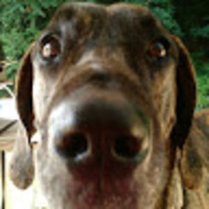 Meet your Posher, Todd